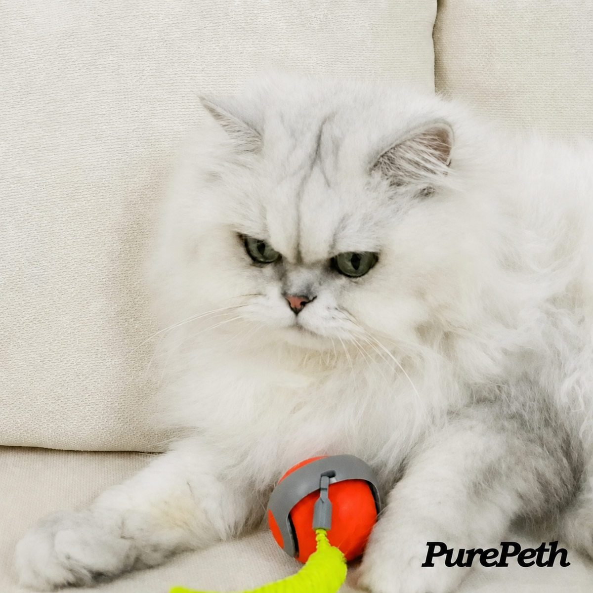 Speedy Tail 2.0 - PurePeth™ Toys