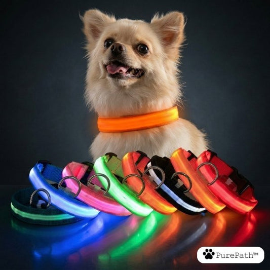 LED Pet Collar - PurePath™