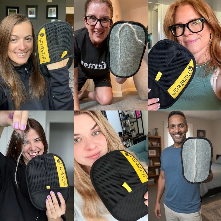 PurePath™ Dog Hair Mitt
