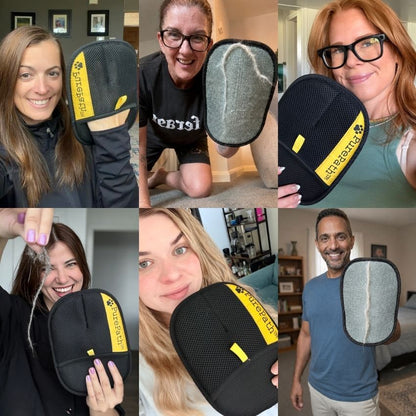 PurePath™ Dog Hair Remover Glove
